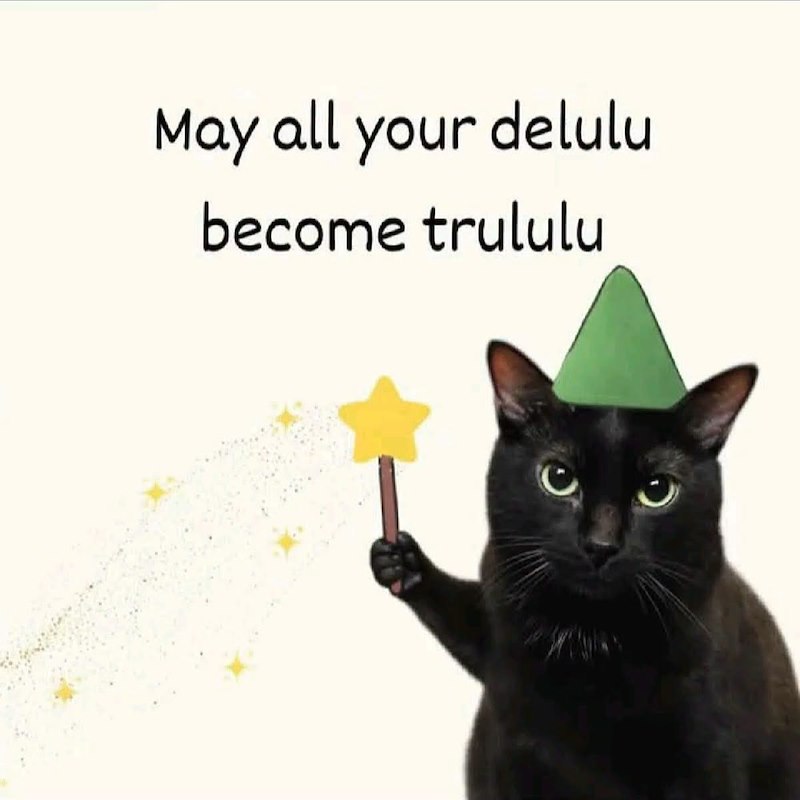 May all your delulu become trululu