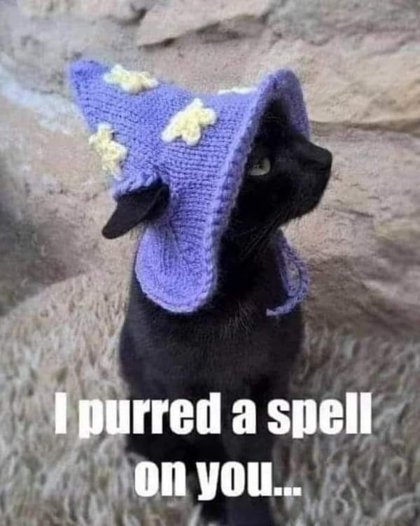 I purred a spell on you...