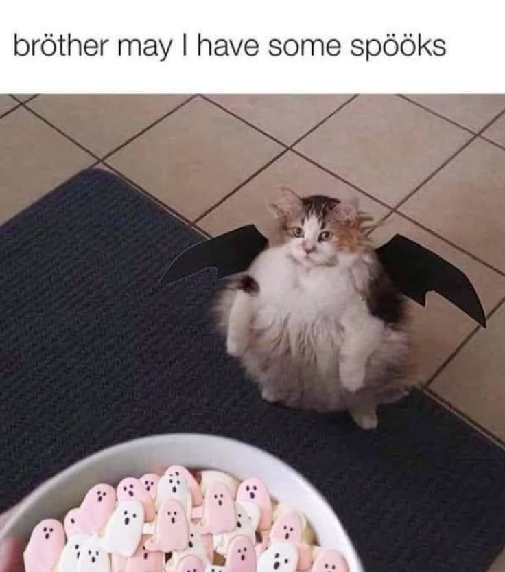 bröther may I have some spööks