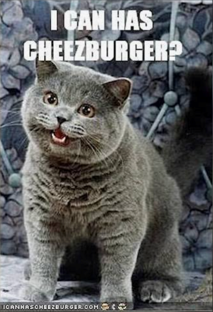 I CAN HAS CHEEZBURGER? ICANHASCHEEZBURGER.COM
