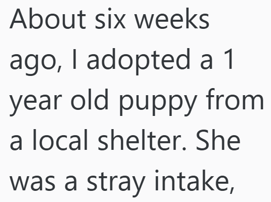 About six weeks ago, I adopted a 1 year old puppy from a local shelter. She was a stray intake,