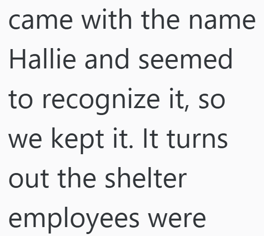 came with the name Hallie and seemed to recognize it, so we kept it. It turns out the shelter employees were