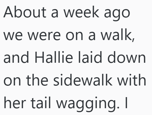 About a week ago we were on a walk, and Hallie laid down on the sidewalk with her tail wagging. I
