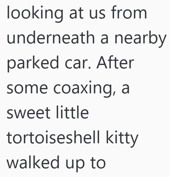 looking at us from underneath a nearby parked car. After some coaxing, a sweet little tortoiseshell kitty walked up to