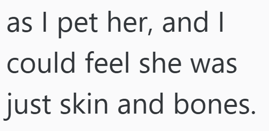 as I pet her, and I could feel she was just skin and bones.