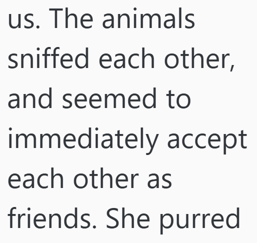 us. The animals sniffed each other, and seemed to immediately accept each other as friends. She purred
