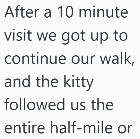 After a 10 minute visit we got up to continue our walk, and the kitty followed us the entire half-mile or