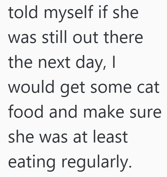 told myself if she was still out there the next day, I would get some cat food and make sure she was at least eating regularly.