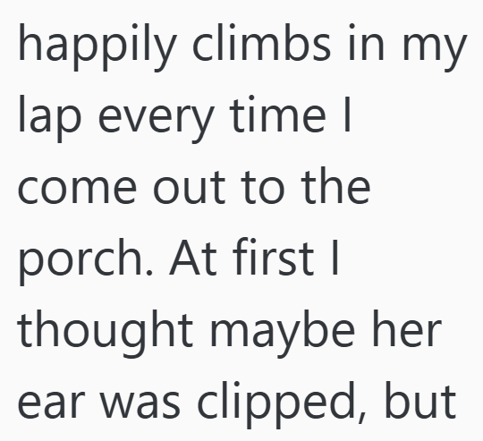 happily climbs in my lap every time I come out to the porch. At first I thought maybe her ear was clipped, but