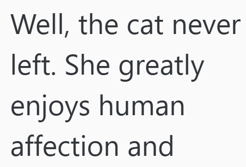 Well, the cat never left. She greatly enjoys human affection and