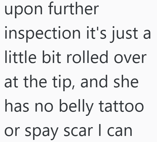 upon further inspection it's just a little bit rolled over at the tip, and she has no belly tattoo or spay scar I can
