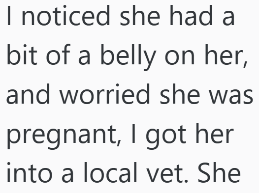 I noticed she had a bit of a belly on her, and worried she was pregnant, I got her into a local vet. She