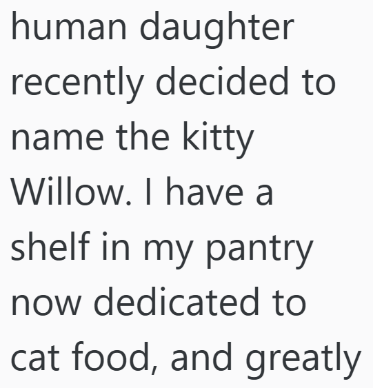 human daughter recently decided to name the kitty Willow. I have a shelf in my pantry now dedicated to cat food, and greatly