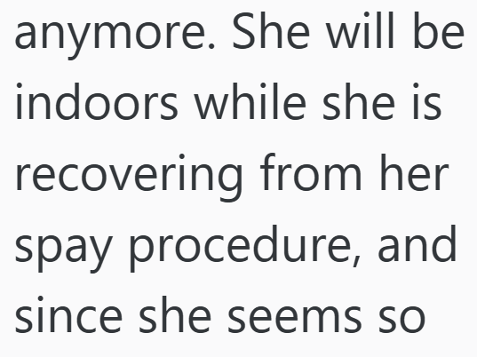 anymore. She will be indoors while she is recovering from her spay procedure, and since she seems so