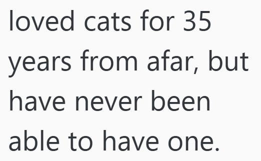 loved cats for 35 years from afar, but have never been able to have one.