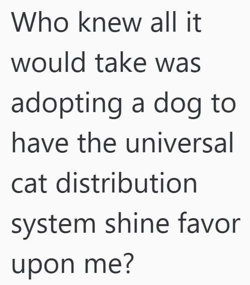 Who knew all it would take was adopting a dog to have the universal cat distribution system shine favor upon me?