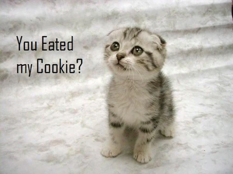 You Eated my Cookie?