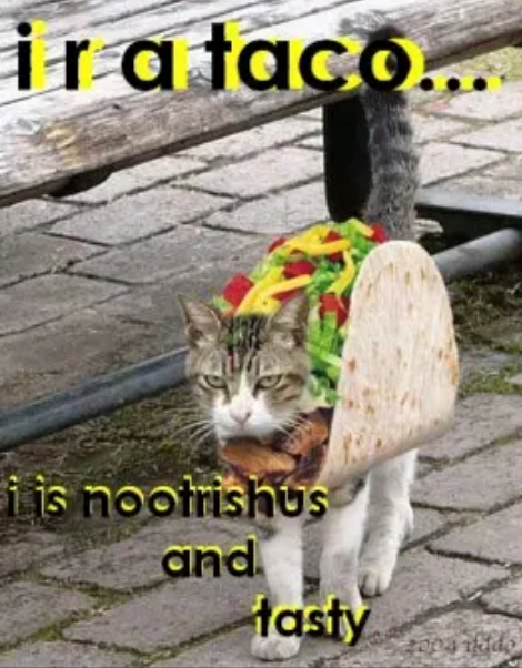 ir a taco... i is nootrishus and tasty
