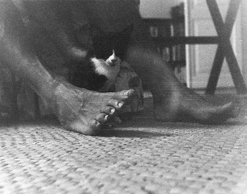 Cheezburger Image 10670832640