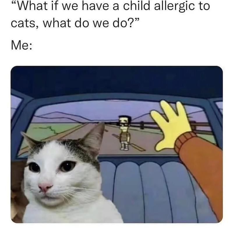 "What if we have a child allergic to cats, what do we do?" Me: