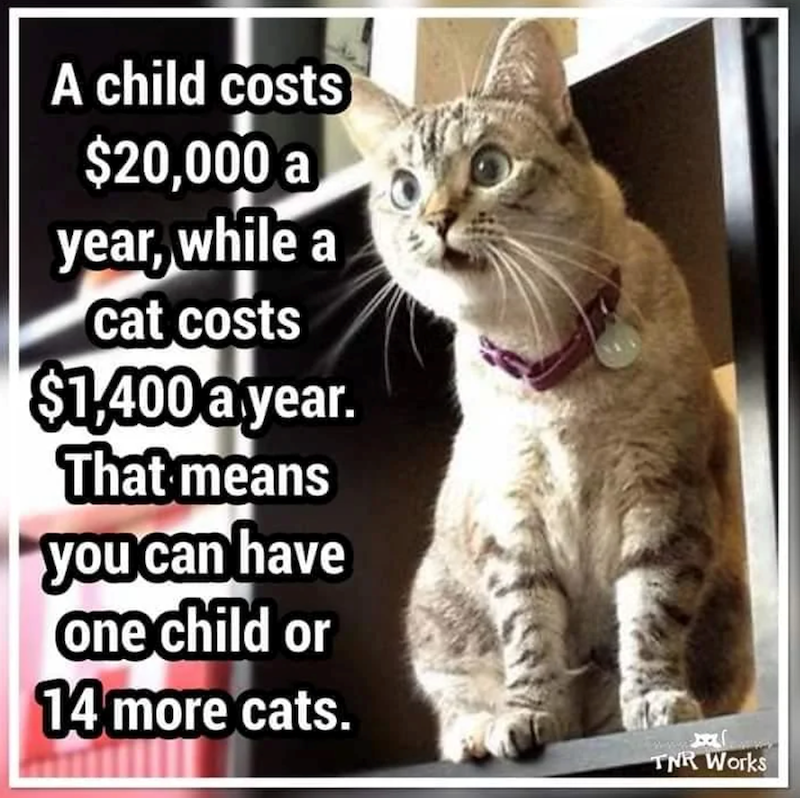 A child costs $20,000 a year, while a cat costs $1,400 a year. That means you can have one child or 14 more cats. TNR Works