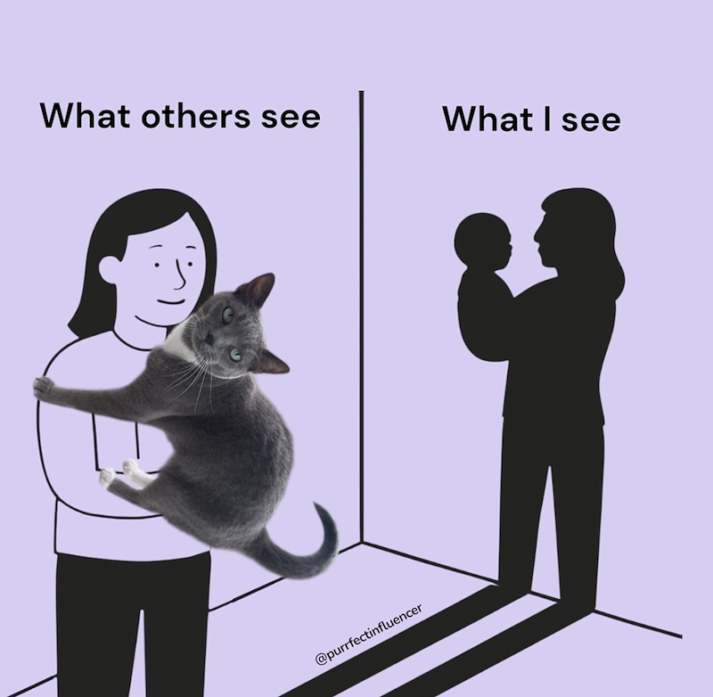 What others see What I see @purrfectinfluencer