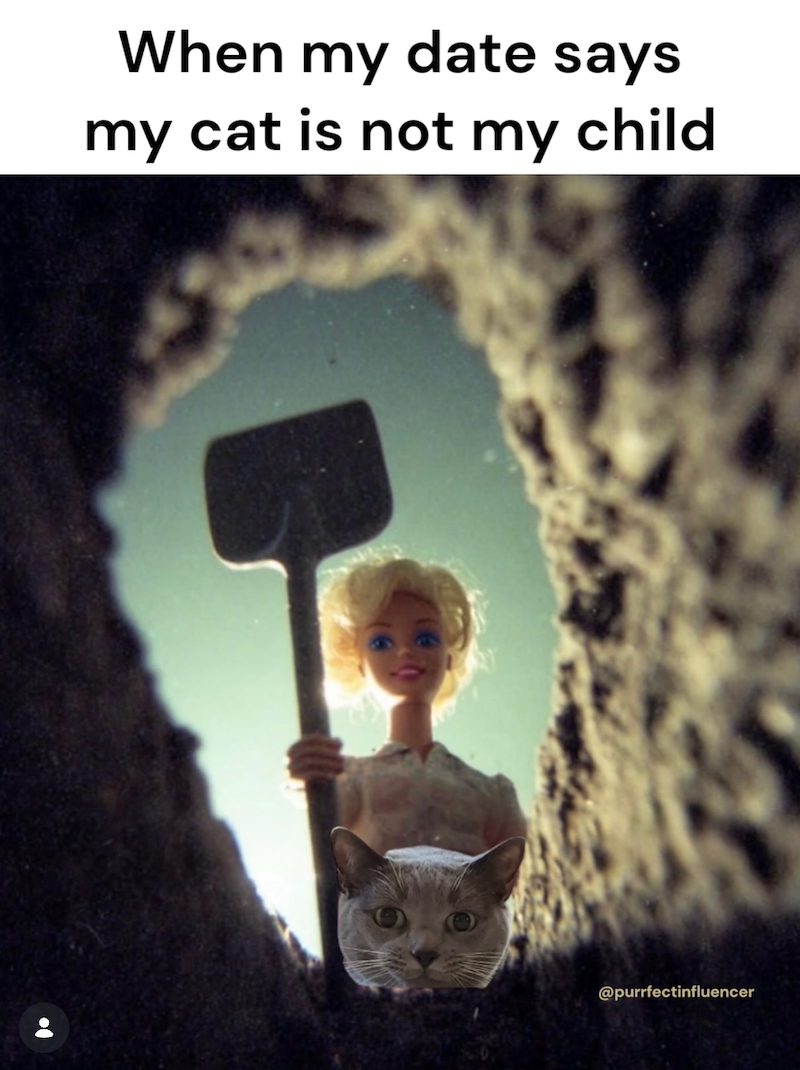 When my date says my cat is not my child @purrfectinfluencer