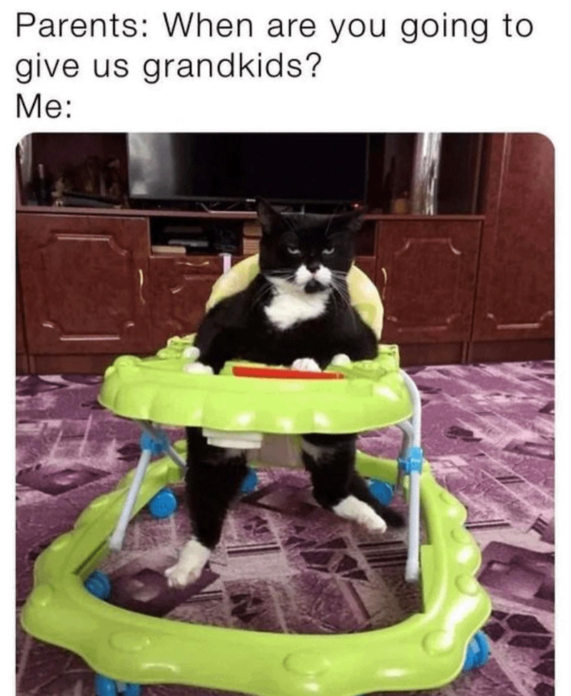 Parents: When are you going to give us grandkids? Me: