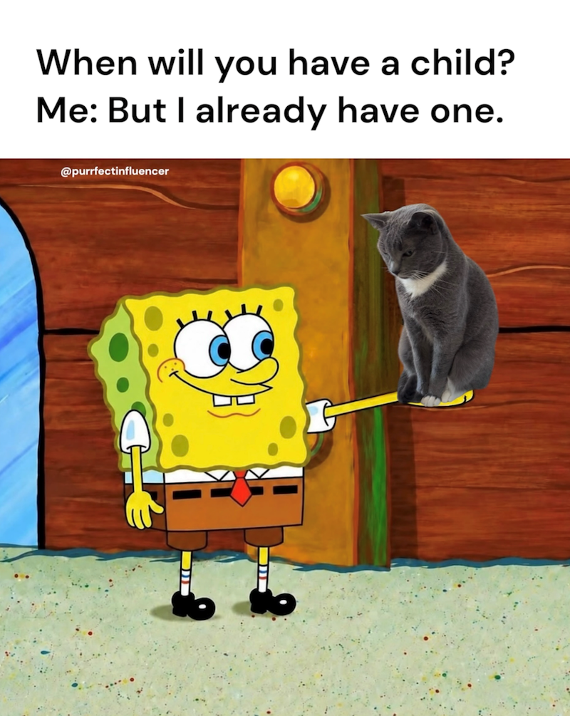 When will you have a child? Me: But I already have one. @purrfectinfluencer