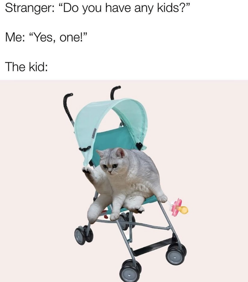 Stranger: "Do you have any kids?" Me: "Yes, one!" The kid: