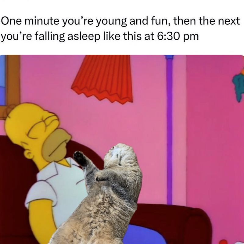 One minute you're young and fun, then the next you're falling asleep like this at 6:30 pm E