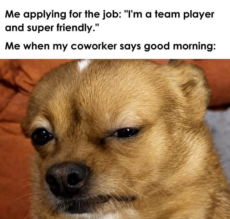 Me applying for the job: "I'm a team player and super friendly." Me when my coworker says good morning:
