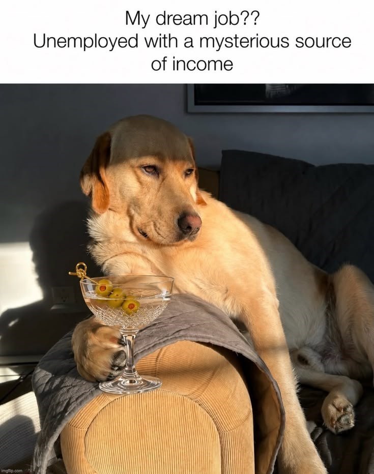 imgflip.com My dream job?? Unemployed with a mysterious source of income