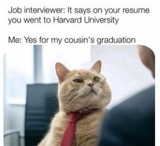 Job interviewer: It says on your resume you went to Harvard University Me: Yes for my cousin's graduation