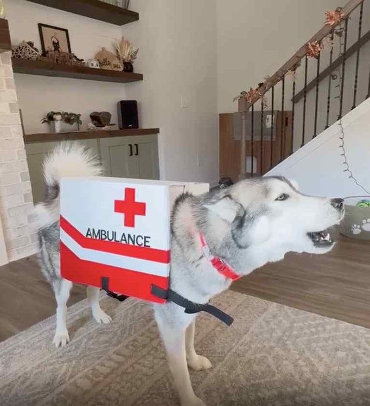 + AMBULANCE