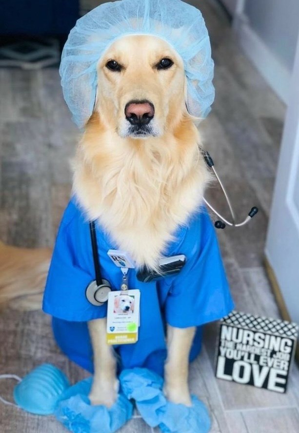 RN NURSING THE HARDEST JO YOU'LL EVER LOVE