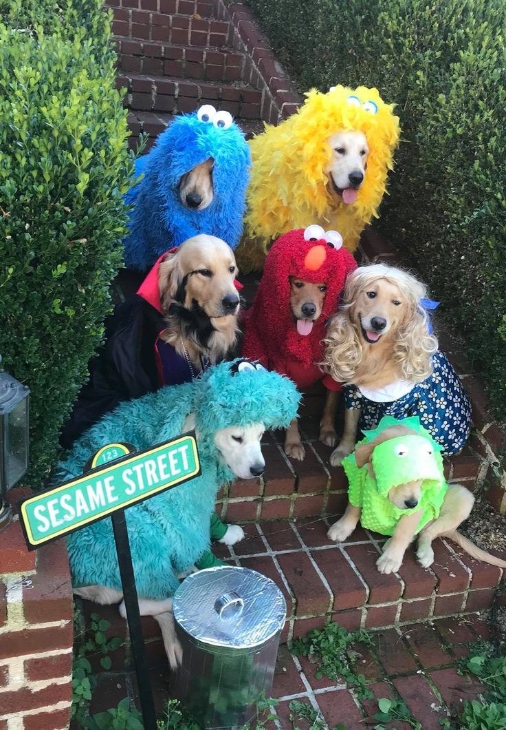 123 SESAME STREET