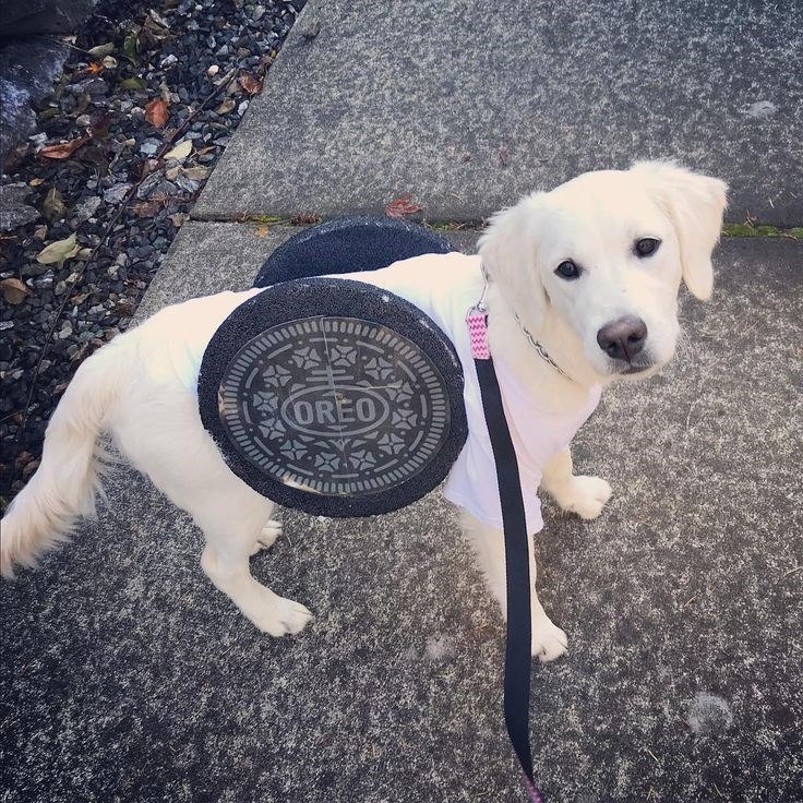 OREO
