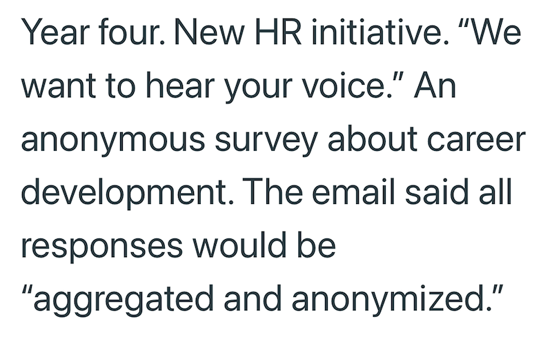 Year four. New HR initiative. "We want to hear your voice." An anonymous survey about career development. The email said all responses would be "aggregated and anonymized."