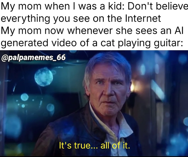 My mom when I was a kid: Don't believe everything you see on the Internet My mom now whenever she sees an Al generated video of a cat playing guitar: @palpamemes_66 It's true... all of it.