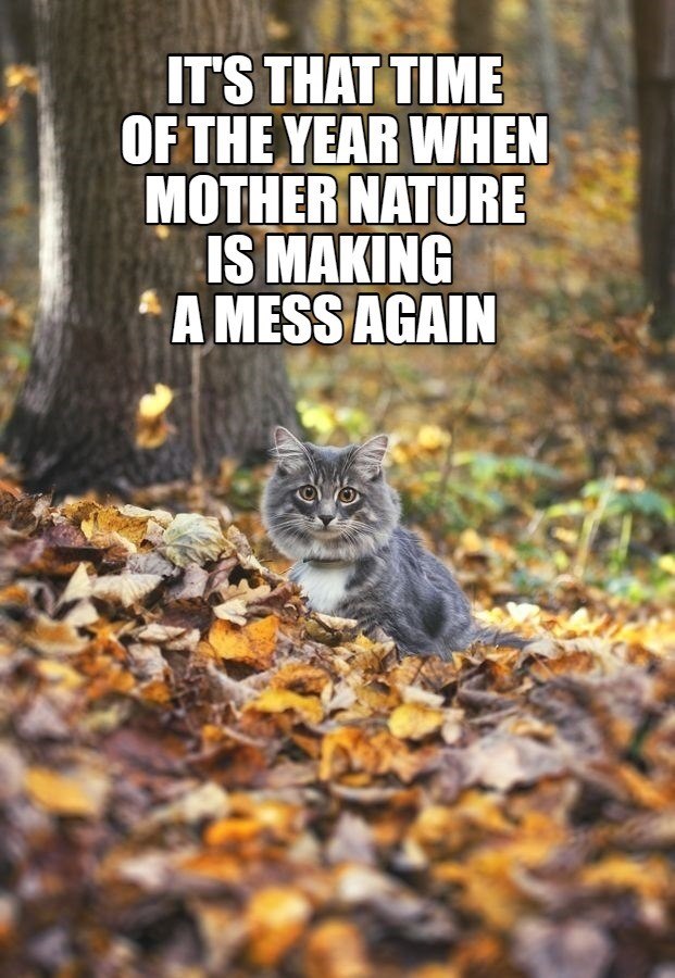 IT'S THAT TIME OF THE YEAR WHEN MOTHER NATURE IS MAKING A MESS AGAIN