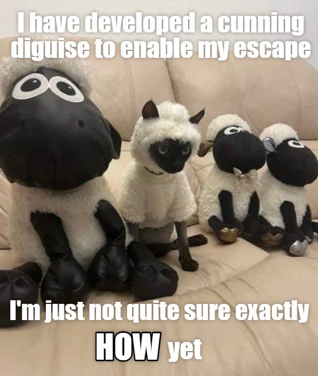 I have developed a cunning diguise to enable my escape C I'm just not quite sure exactly HOW yet