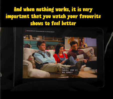 And when nothing works, it is very important that you watch your favourite shows to feel better Rachel MARCEL, STOP IT! BAD MONKEY!