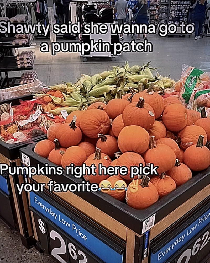 Shawty said she wanna go to a pumpkin patch Pumpkins right here pick your favoriteeve Everyday Low Price 2 Everyday Low Price 62