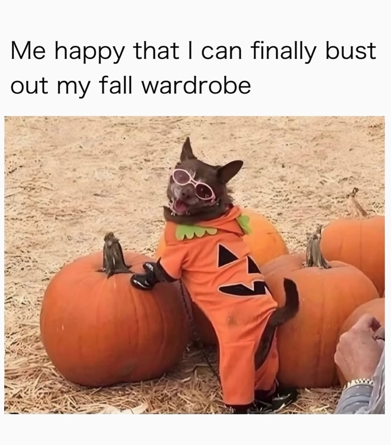 Me happy that I can finally bust out my fall wardrobe
