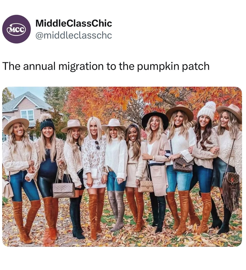 MiddleClassChic MCC @middleclasschc The annual migration to the pumpkin patch
