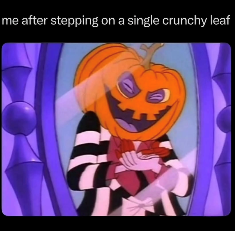 me after stepping on a single crunchy leaf