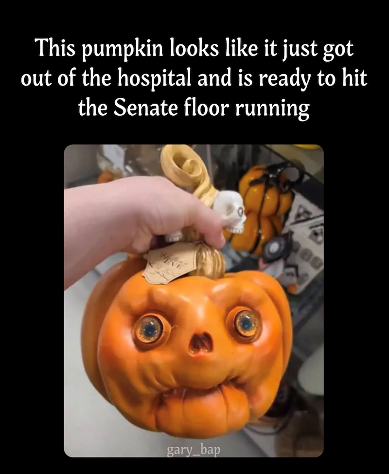 This pumpkin looks like it just got out of the hospital and is ready to hit the Senate floor running gary_bap