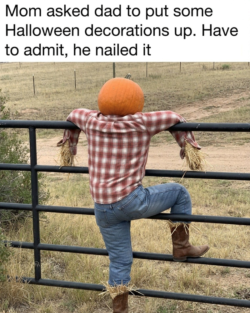 Mom asked dad to put some Halloween decorations up. Have to admit, he nailed it