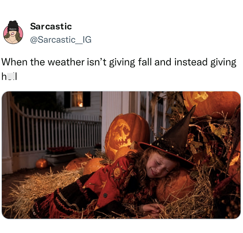 Sarcastic BSARCASTIC @Sarcastic_IG When the weather isn't giving fall and instead giving h_l